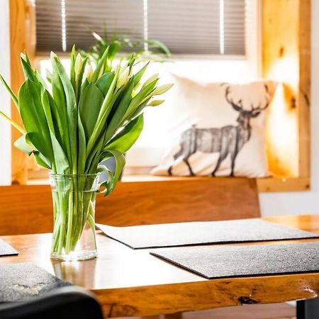 Neu Renoviertes Ferienhaus/Wohnunng Kleine Auszeit Sonnenbühl エクステリア 写真